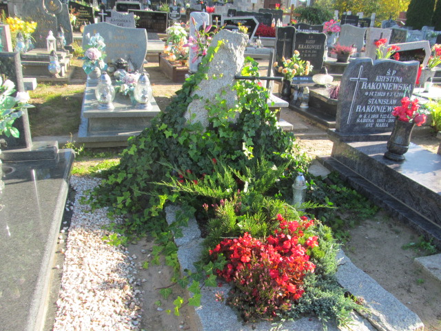 Zbigniew Królikowski 1950 Kórnik - Grobonet - Wyszukiwarka osób pochowanych