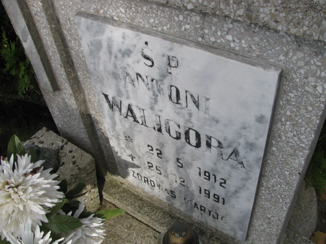Antoni Waligóra 1912 Kórnik - Grobonet - Wyszukiwarka osób pochowanych