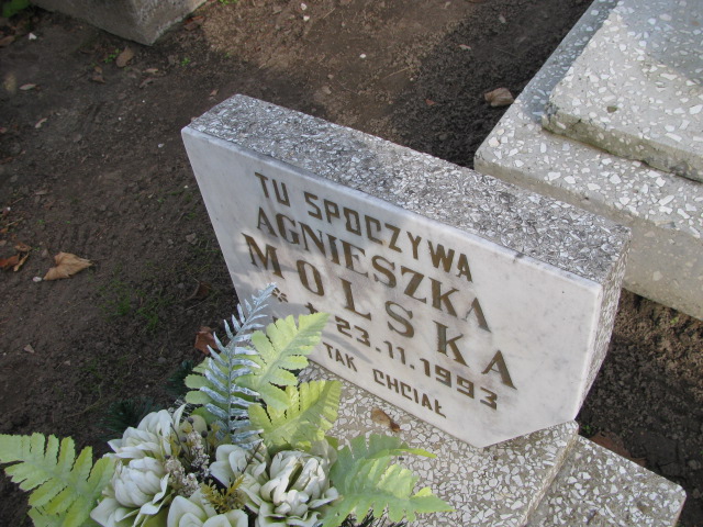 Agnieszka Molska 1993 Kórnik - Grobonet - Wyszukiwarka osób pochowanych