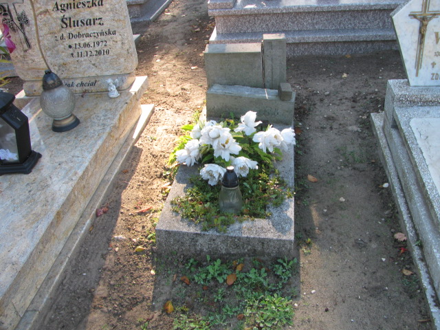 Zbigniew Król Kórnik - Grobonet - Wyszukiwarka osób pochowanych